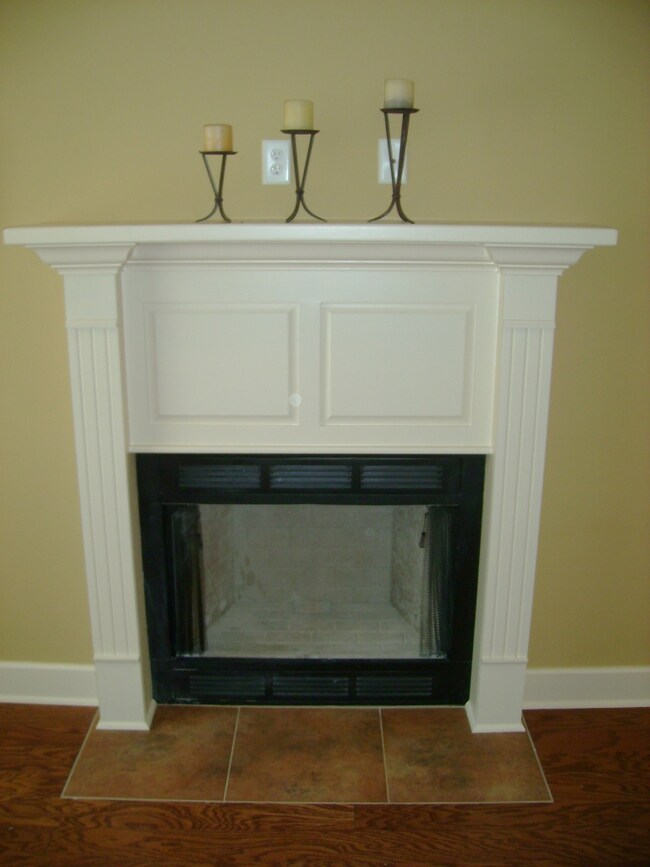 Gas fireplace insert