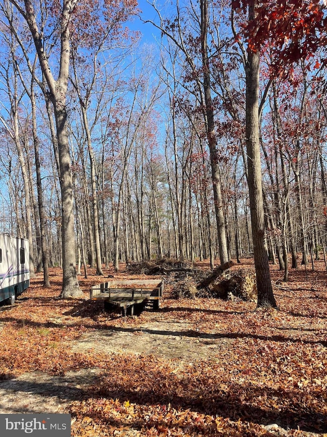 0 Hannah Ct unit WVHS2007062, Yellow Spring, WV 26865 - photo 7