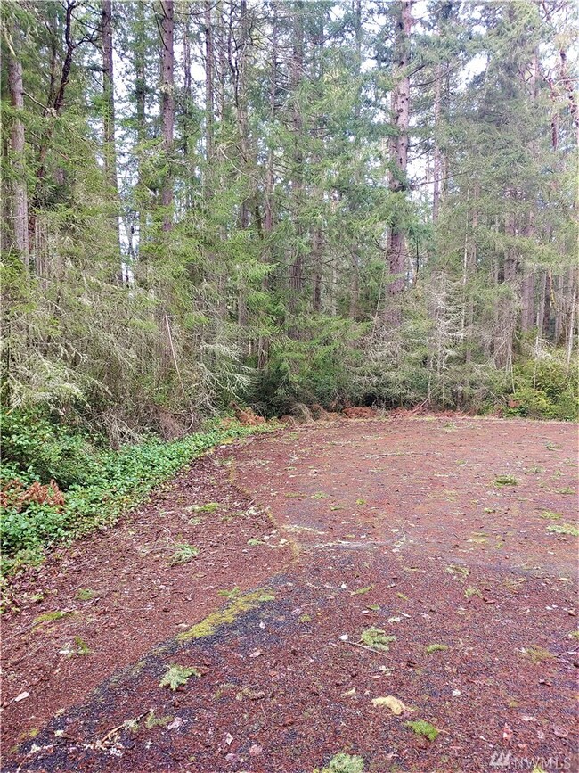 8904 126th Av Ct, Anderson Island, WA 98303 - photo 4