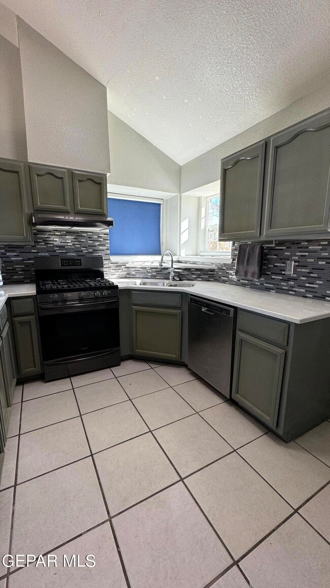 14600 Daffodil Place, Horizon City, TX 79928 - photo 6