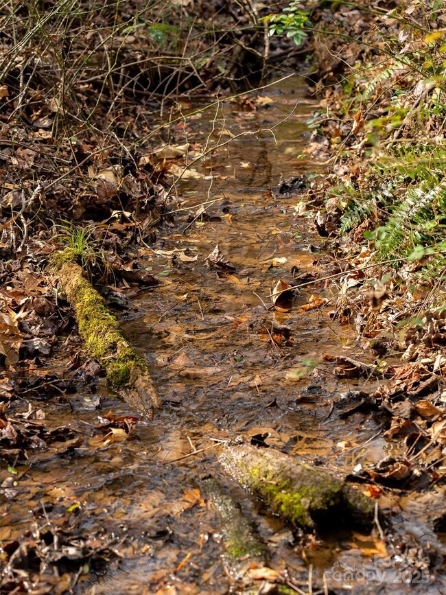 99999 Bay Horse Trail, Candler, NC 28715 - photo 6