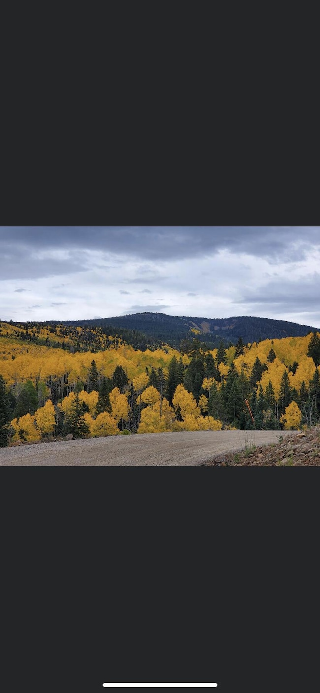 Lot #47 W Village Subdivision unit Eagle Point Resort, Beaver, UT 84713 - photo 2