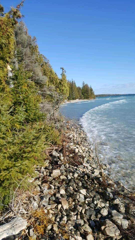 D920BA85-C894-437F-BCBB-47185D31EF31