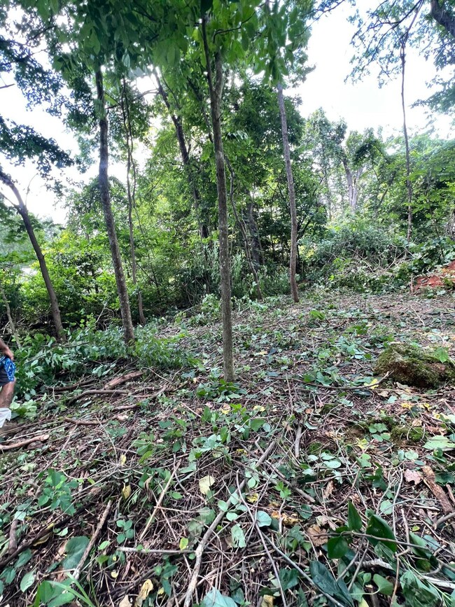 908 Stone Gate Dr, Burnside, KY 42519 - photo 7