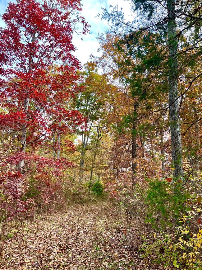 Harriet Rd, Hillsboro, OH 45133 - photo 3
