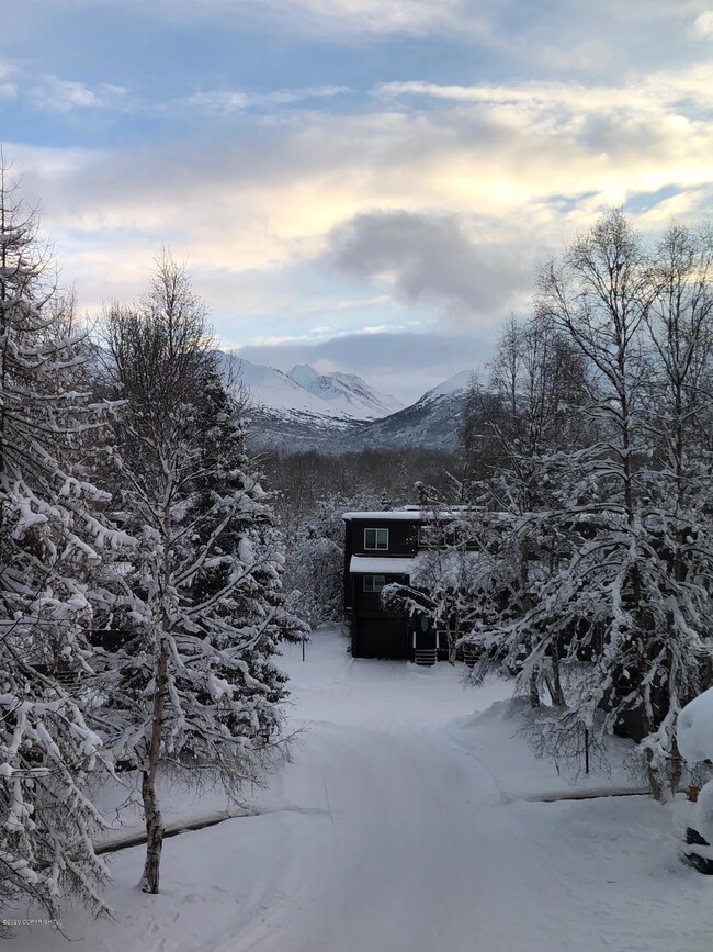 Winter View