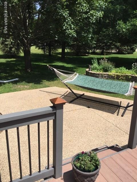Back yard