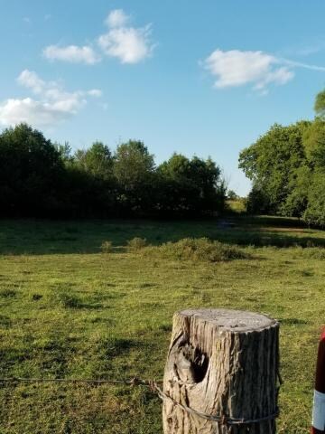 Lot 16 Mason Road pic 3