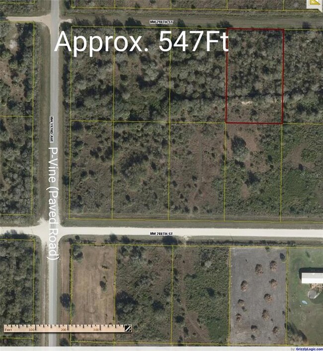 19032 290th St, Okeechobee, FL 34972 - photo 6