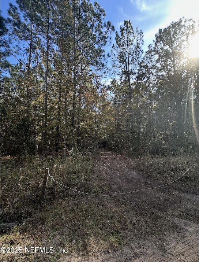 0 Silver Moss Cir unit 2118989, Middleburg, FL 32068 - photo 2