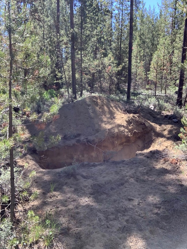 53620 Woodchuck Dr, La Pine, OR 97739 - photo 4