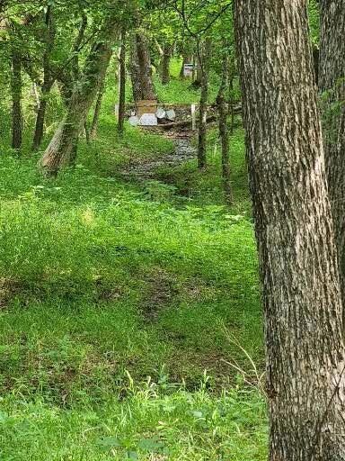 520 County Road 4070 520 County Road 4070, Ector, TX 75439 - photo 7