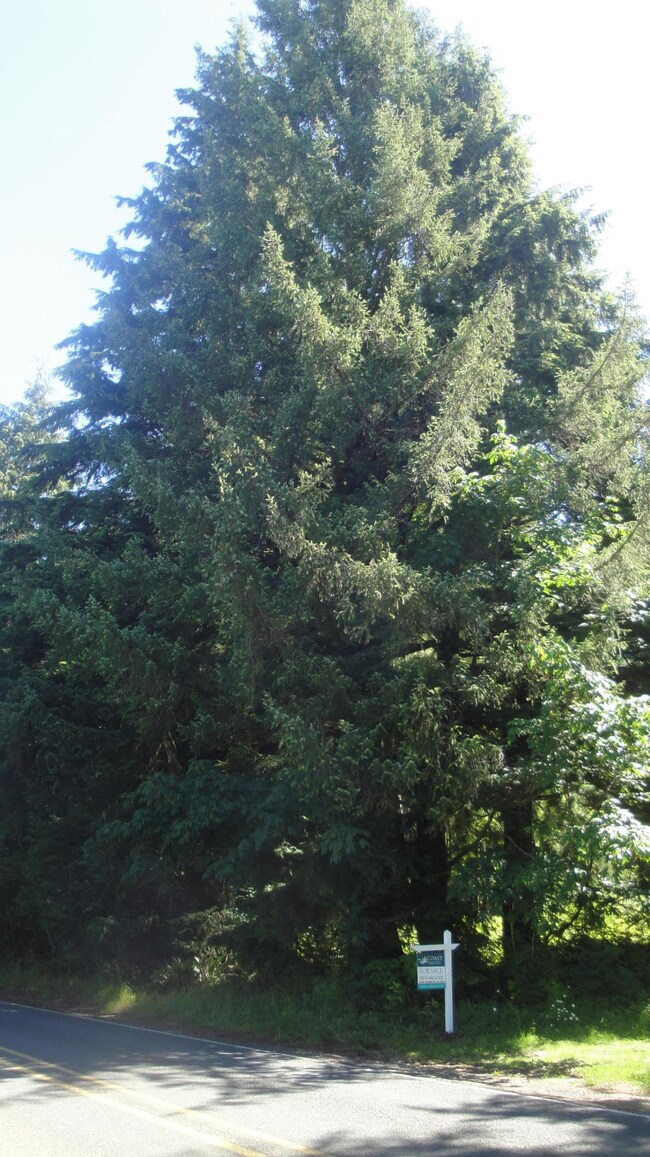 0 Miami Foley Rd unit 16-552, Nehalem, OR 97131 - photo 2