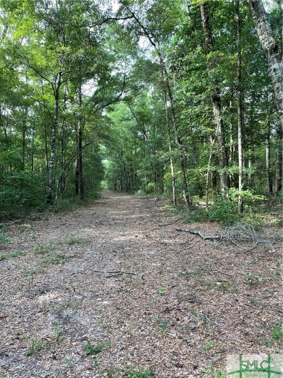 0 Old Augusta Rd unit 319739, Clyo, GA 31303 - photo 7