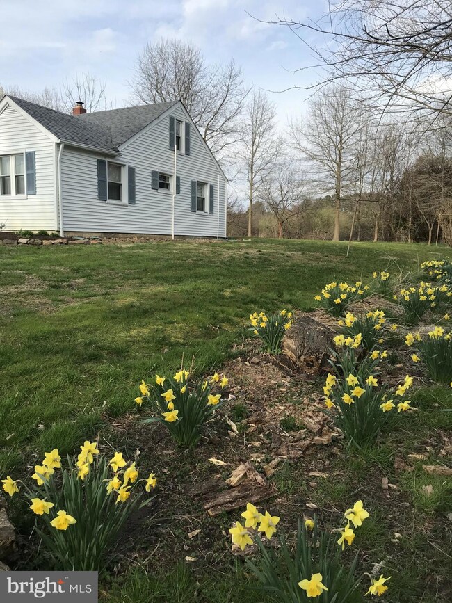 4827 Piney Neck Rd, Rock Hall, MD 21661 - photo 5