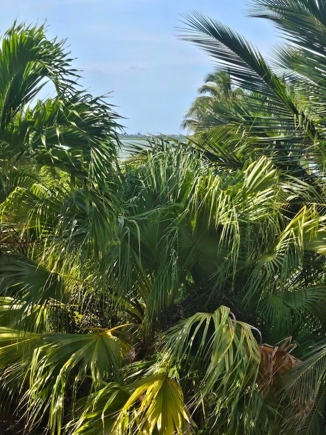 Bay View