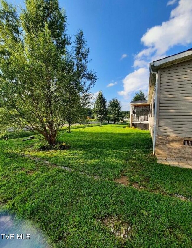 Yard
