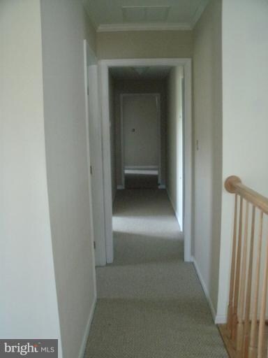 101 Marlin Ct, Centreville, MD 21617 - photo 6