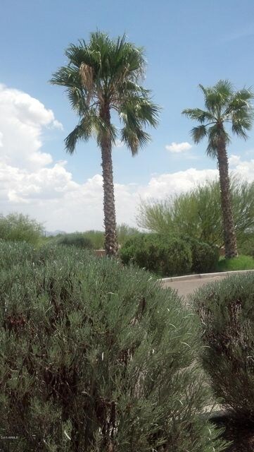 Entrance Landscape small vi