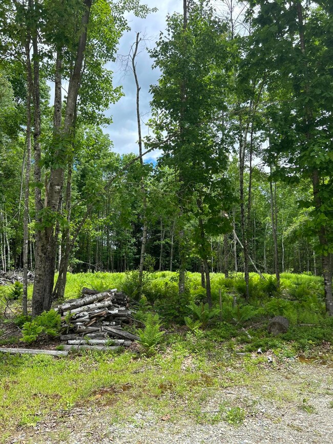 18 Shady Ln, Lisbon, ME 04250 - photo 2