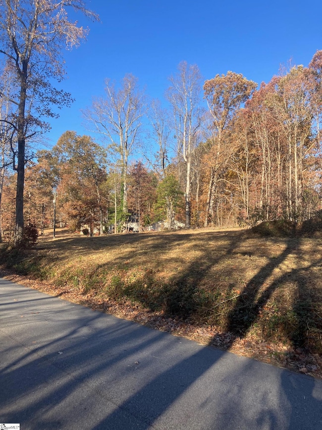 38 Coster Rd, Travelers Rest, SC 29690 - photo 6