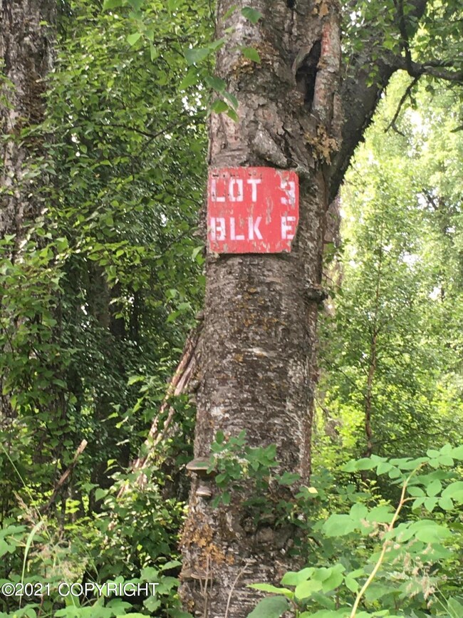 L3 BE E Wolf Trail, Trapper Creek, AK 99683 - photo 2