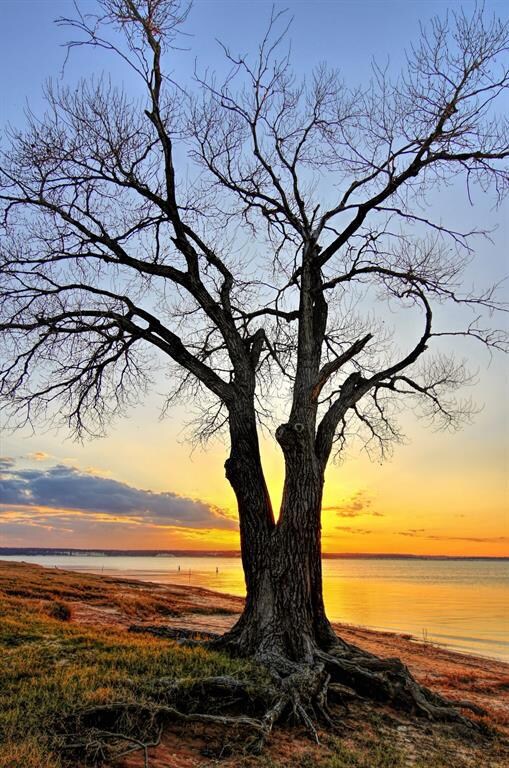 1479 Twin Oak Dr, Whitney, TX 76692 - photo 7