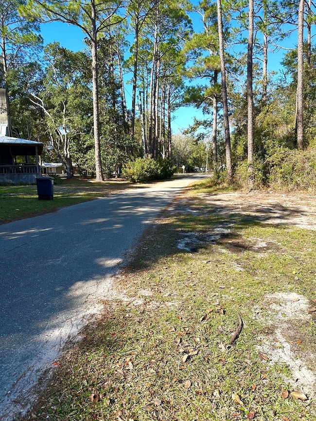 182 Smith Rd, Apalachicola, FL 32320 - photo 3