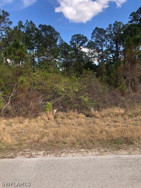 2110 Robert Ave, Alva, FL 33920 - photo 4