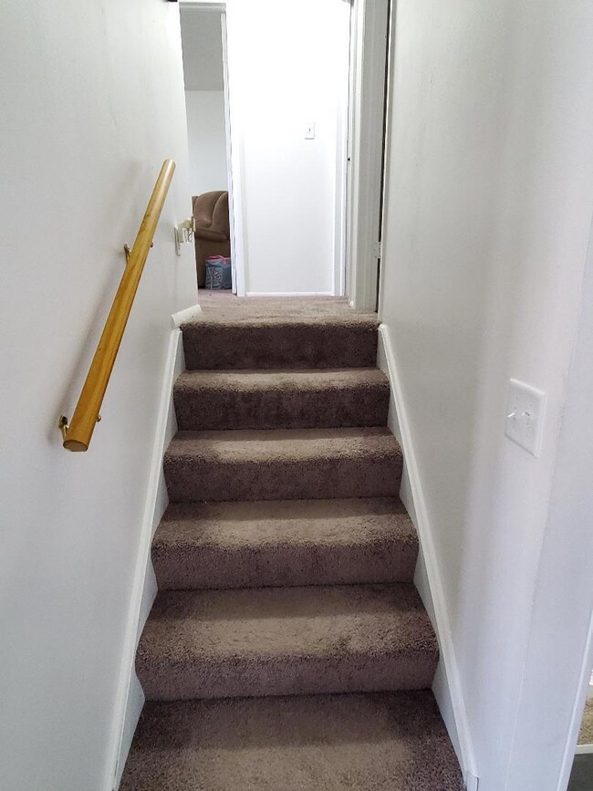 New carpet