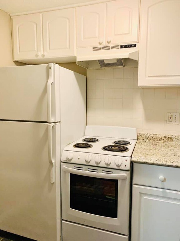 1862 Beacon St unit 3B1, Brookline, MA 02445 - photo 5