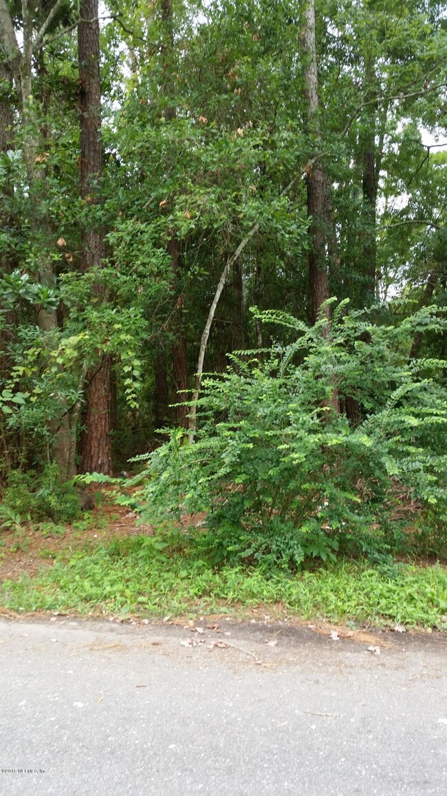 LOT 5 Delacy Rd, Jacksonville, FL 32244 - photo 3