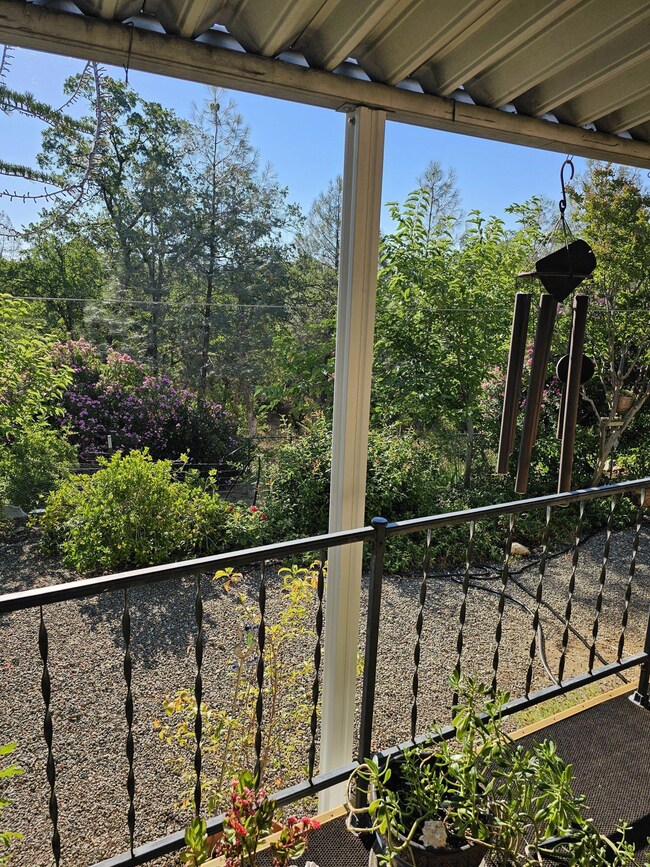 View From Porch