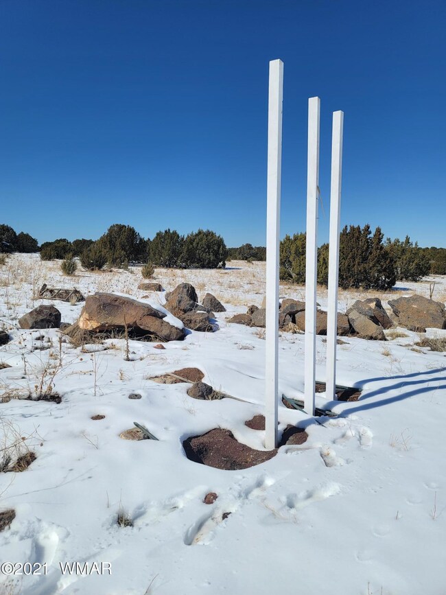 2350 N 16th St, Show Low, AZ 85901 - photo 4