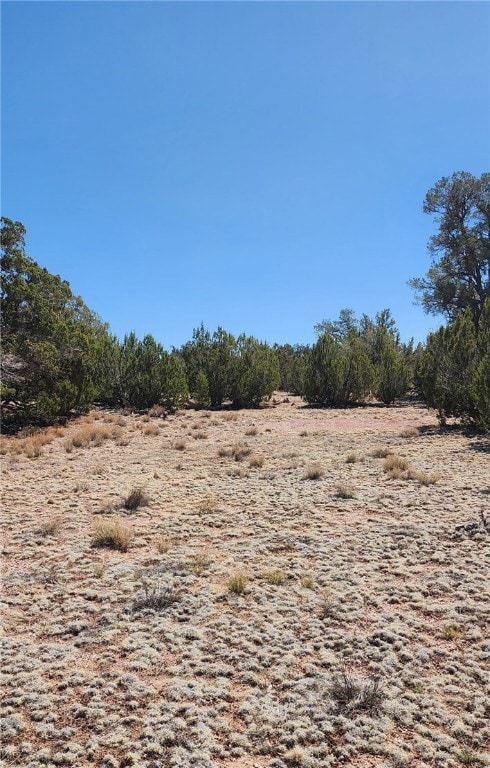 Lot B Roaming Way, Seligman, AZ 86337 - photo 5