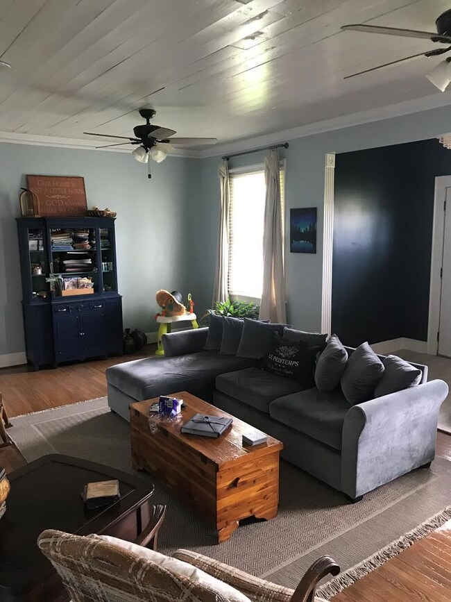 406 S Woolfork Ave, Donalsonville, GA 39845 - photo 3