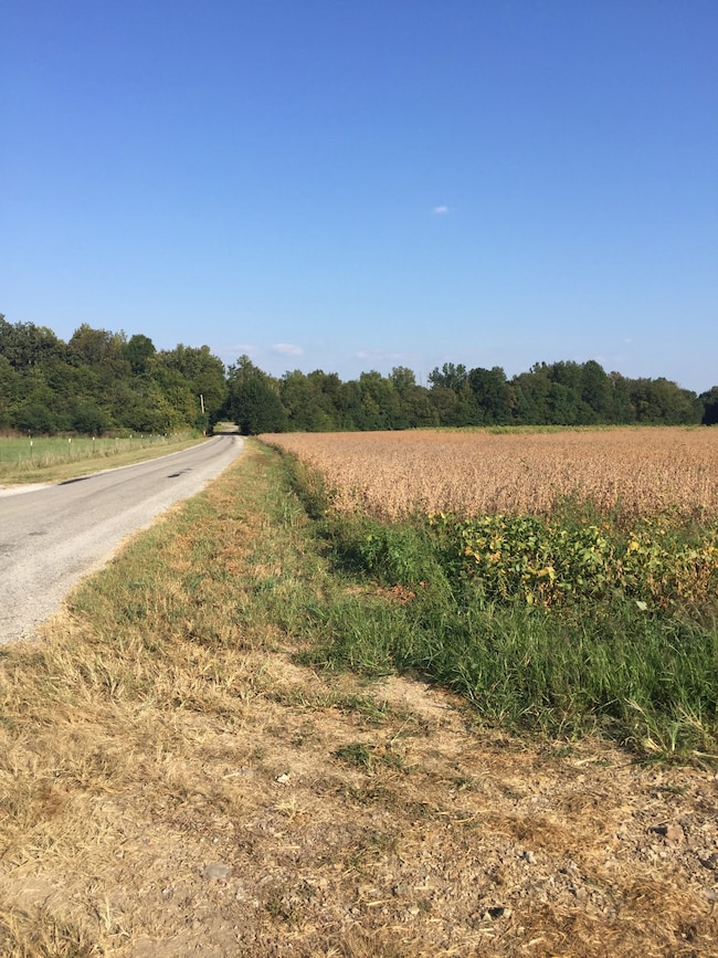 0 Duncan Rd, Manchester, TN 37355 - photo 4