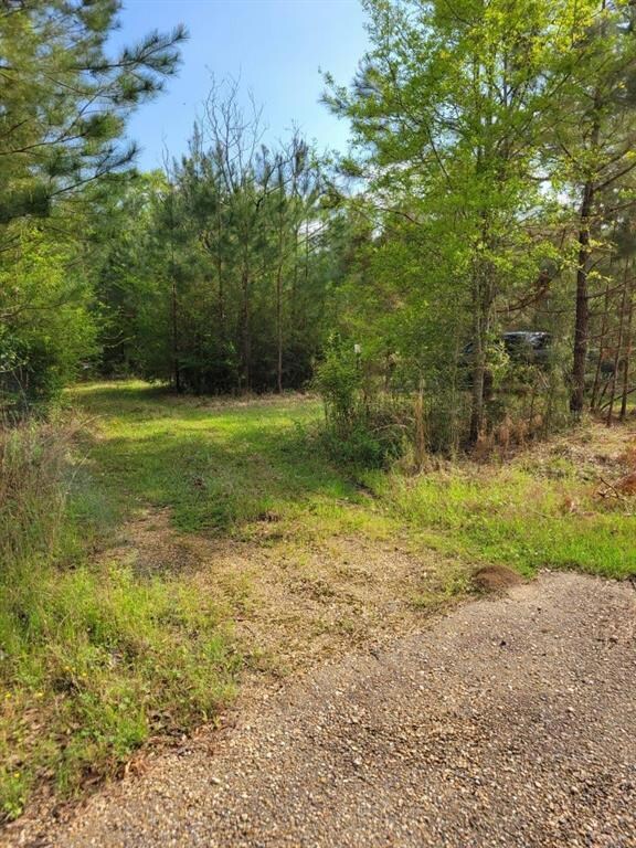 Exit of the gravel driveway.