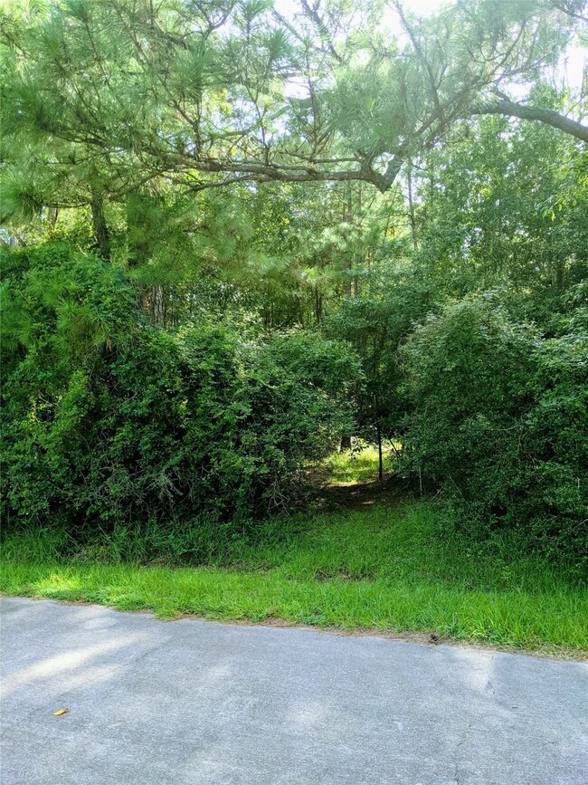 0 Tenn Oaks unit 2657542, Hockley, TX 77447 - photo 3