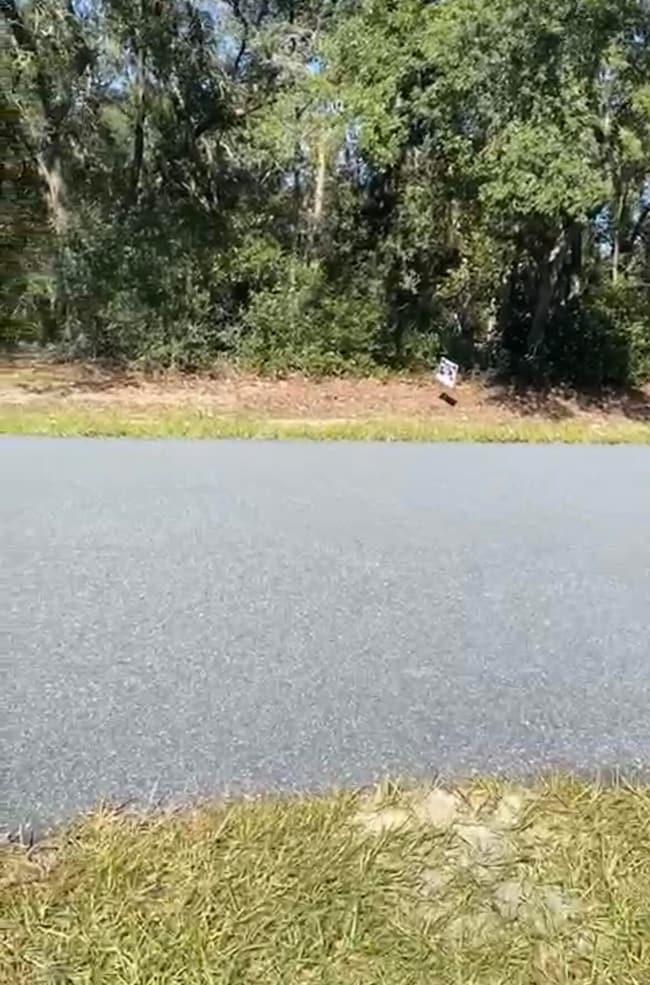 4017 SW 133rd Loop, Ocala, FL 34473 - photo 2