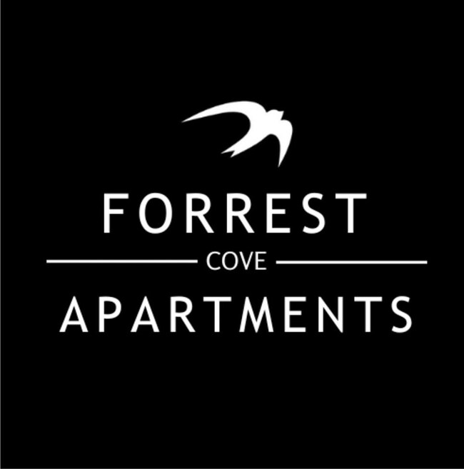 3614 Forest Ave unit 11, Memphis, TN 38122 - photo 6