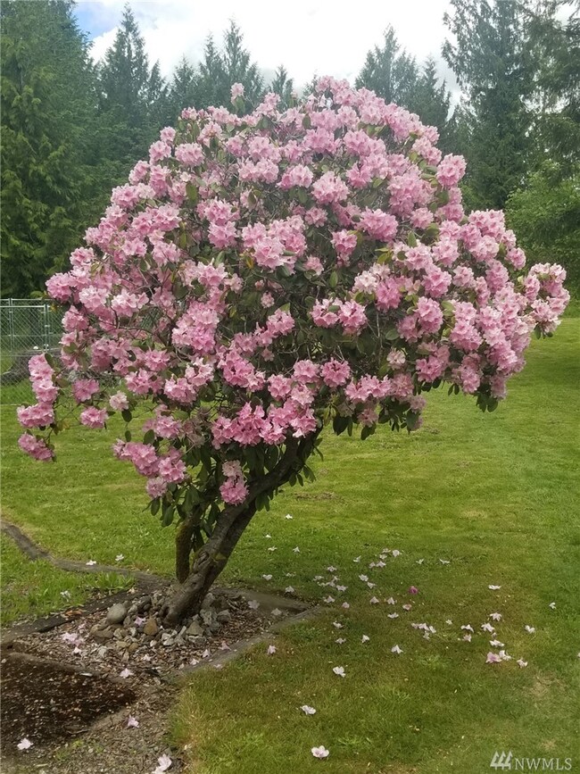 1953 Washington 505, Toledo, WA 98591 - photo 7