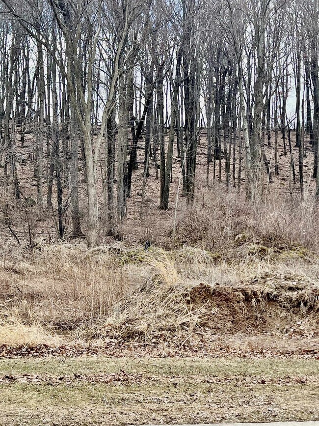 911 Buffalo Ridge Ln, Waupaca, WI 54981 - photo 2