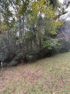 109 Willow Pond Way, Brunswick, GA 31525 - photo 4