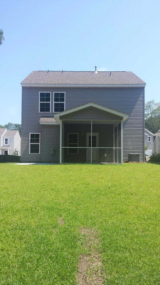 Back yard