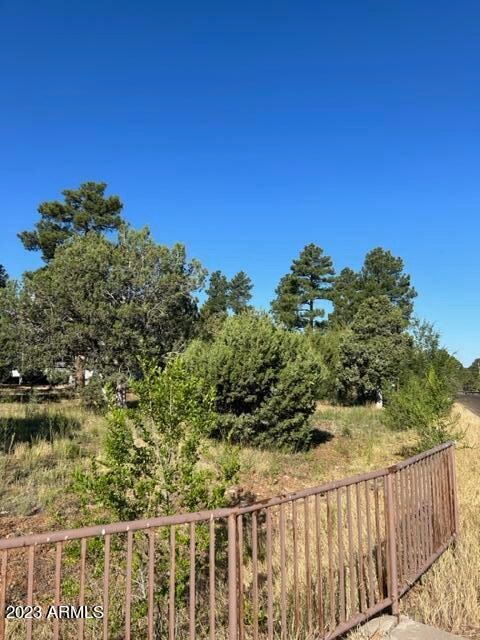 600 S Reynolds Ln unit 51, Show Low, AZ 85901 - photo 2