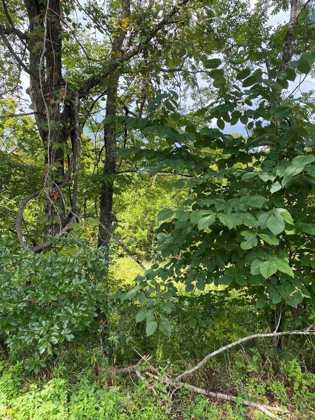 00 Center Point Acres, Walling, TN 38587 - photo 4