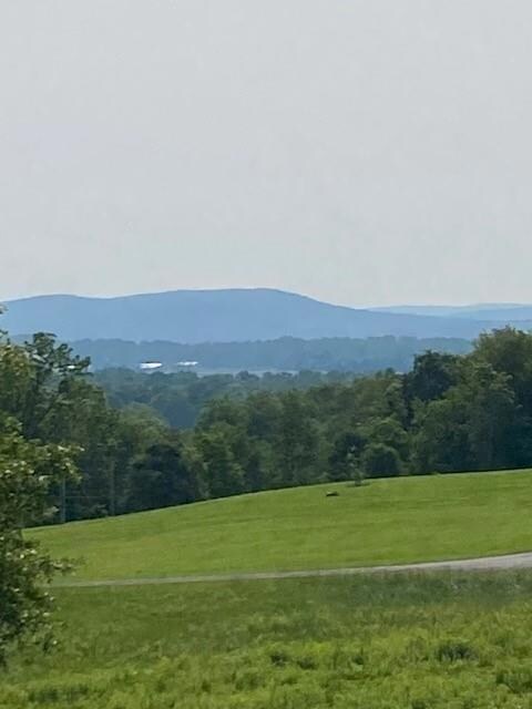 156 Schefflers Rd, Minisink, NY 10998 - photo 2