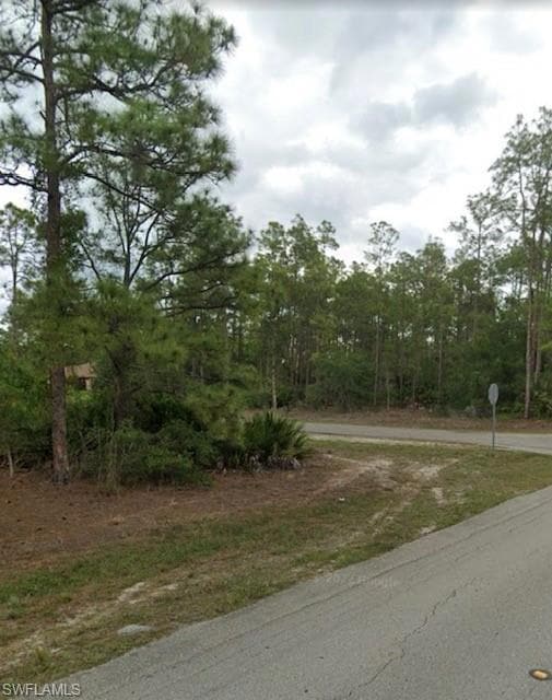 View of asphalt street featuring traffic signs