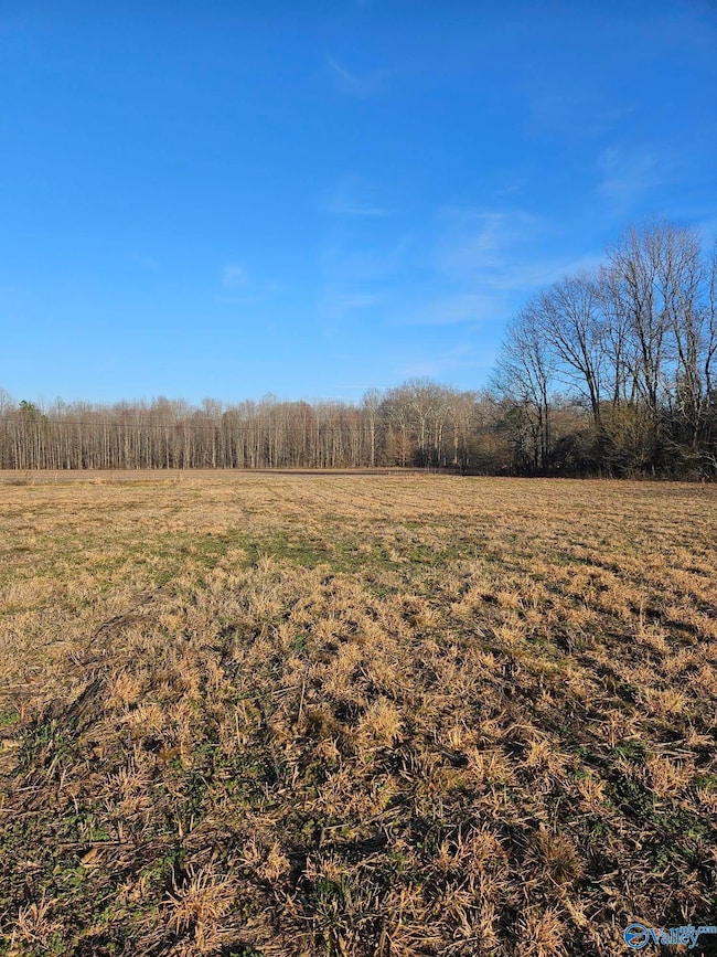 Lot 3 Scott Rd, Hazel Green, AL 35750 - photo 7